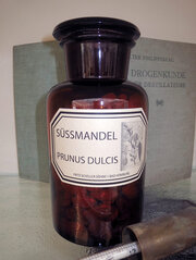 Prunus Dulcis (Süßmandel)