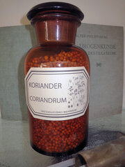 Coriandrum (Koriander)