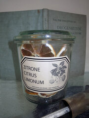 Citrus Limomum (Zitrone)