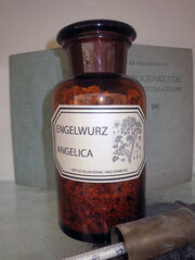 Angelica (Engelwurz)